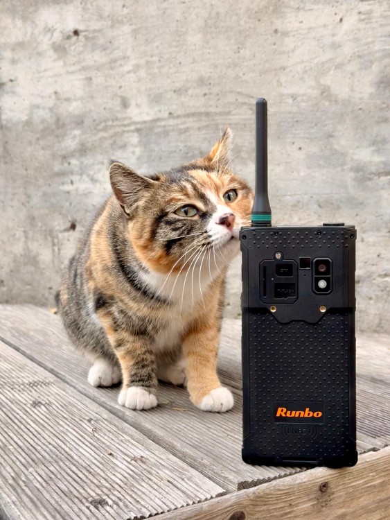 Смартфон Runbo E91